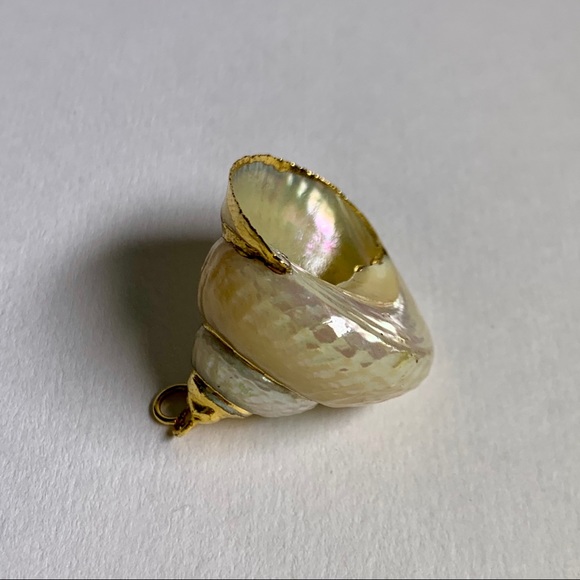 ⭐️Gold Plated Shell ⭐️ - Picture 6 of 8